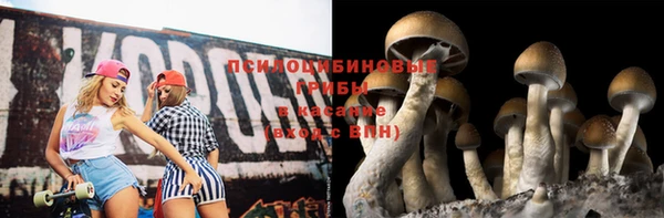 Альфа ПВП Новодвинск