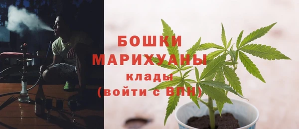 трава Сосновый Бор