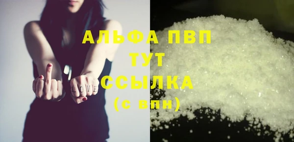 Альфа ПВП Новодвинск