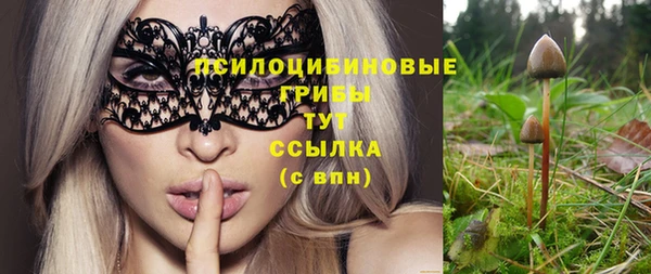 Альфа ПВП Новодвинск