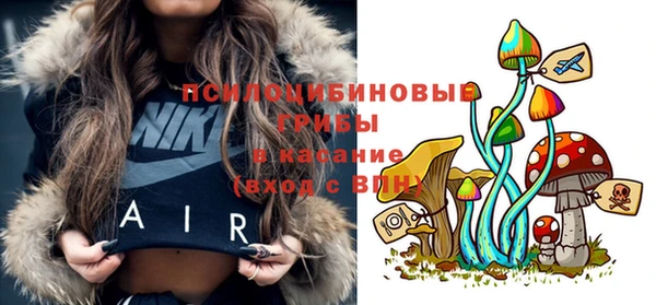 Альфа ПВП Новодвинск