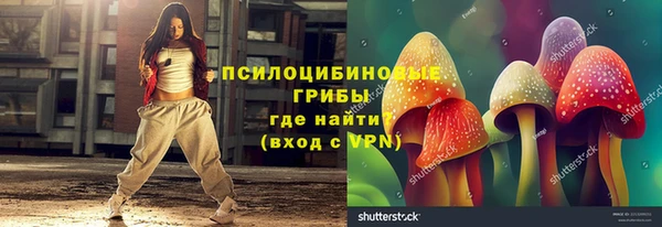 Альфа ПВП Новодвинск