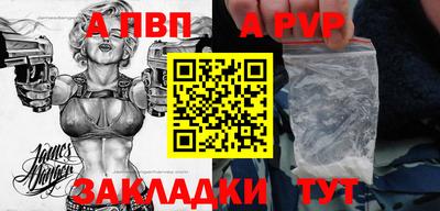 2c-b Кингисепп