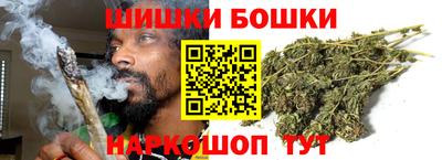 2c-b Кингисепп