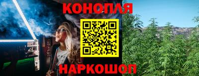 2c-b Кингисепп