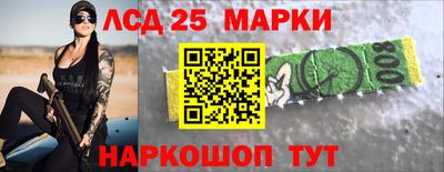 2c-b Кингисепп