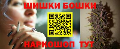 2c-b Кингисепп