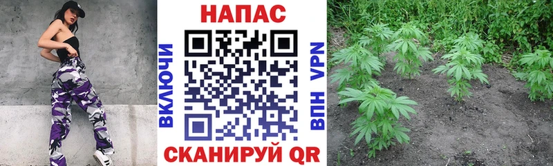 ссылка на мегу ССЫЛКА Якутск Бошки Шишки AK-47